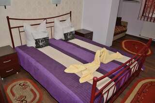 Гостевой дом Pensiunea Caro Дева Двухместный номер с 1 кроватью или 2 отдельными кроватями-31